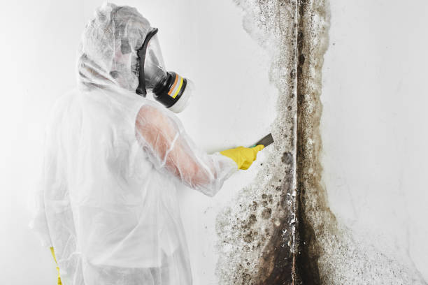 Best Office Mold Removal Services  in Thomasville, AL