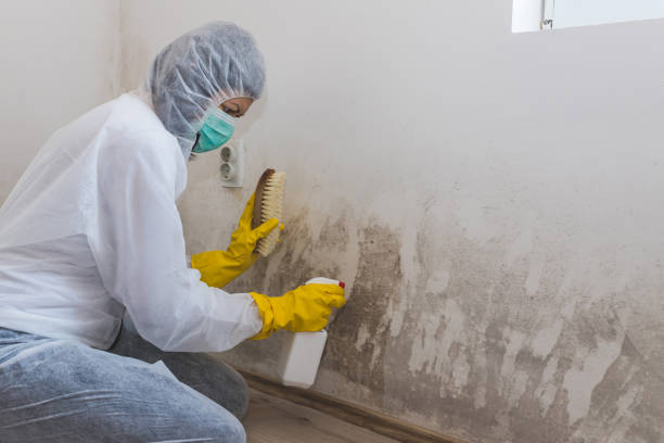 Crawl Space Mold Removal in Thomasville, AL