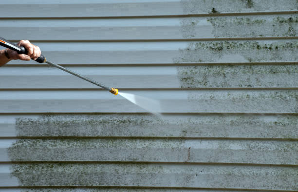 Attic Mold Removal in Thomasville, AL