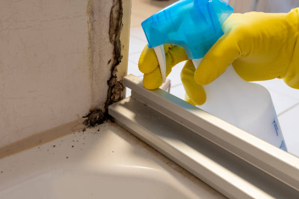 Best Mold Remediation Services  in Thomasville, AL