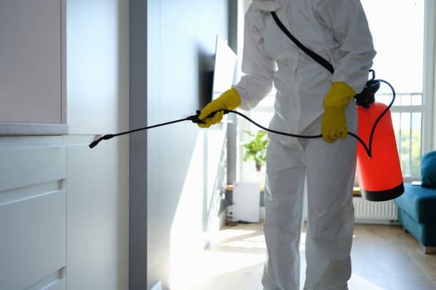 Best Toxic Mold Removal  in Thomasville, AL