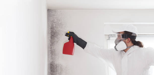 Best Mold Cleaning Services  in Thomasville, AL